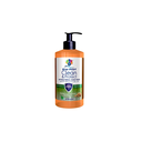 BLUE PEARL ANTI BACTERIAL HAND WASH - OUD 500ML