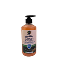 BP ANTI BACTERIAL HAND WASH - SANDALWOOD 500ML